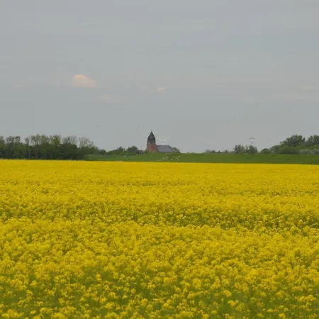 Lejlighed Wittmaack Dircks *