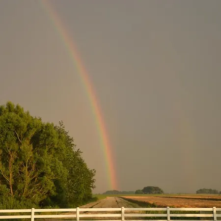 Wittmaack Dircks Norderfriedrichskoog