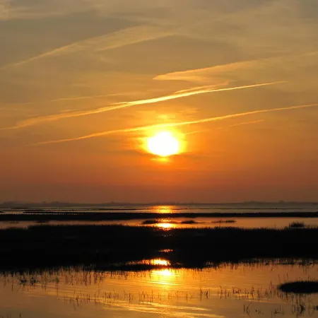 Lejlighed Wittmaack Dircks Norderfriedrichskoog